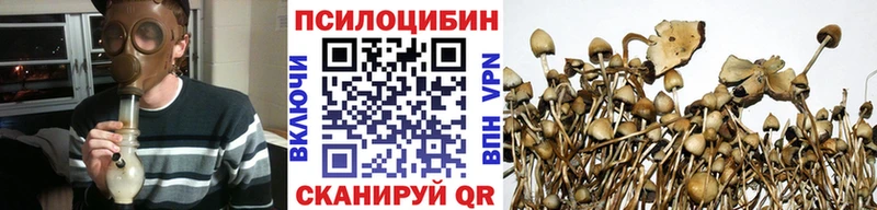 Галлюциногенные грибы ЛСД  Велиж 